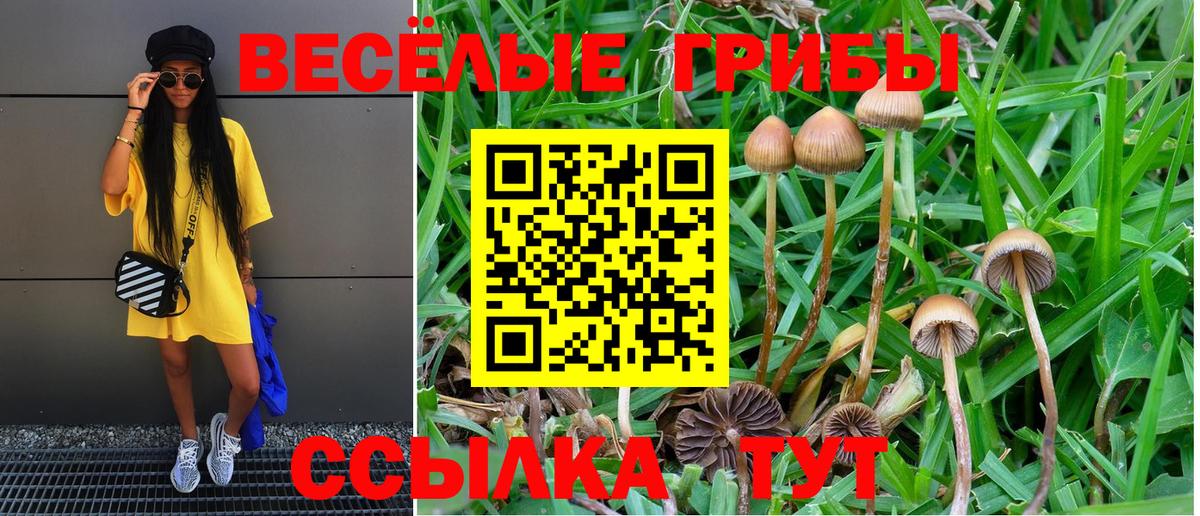 Холмск  Галлюциногенные грибы Magic Shrooms  Псилоцибиновые грибы прущие грибы  Вход с VPN 