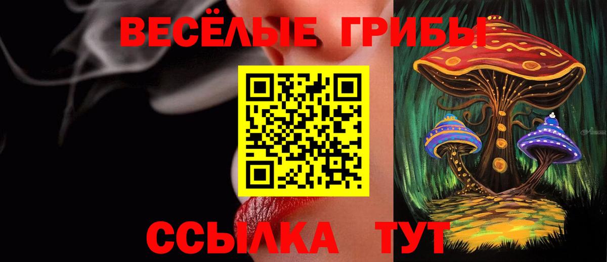 Псилоцибиновые грибы прущие грибы Холмск
